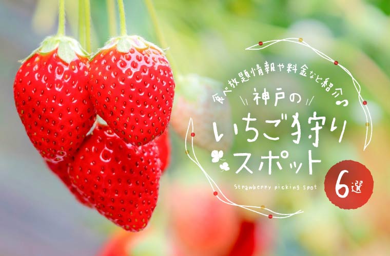 【神戸】人気のいちご狩りスポットおすすめ6選！値段や開園時期、食べ放題も(2023)